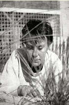 Harper Lee, 1960, portrait by Truman Capote